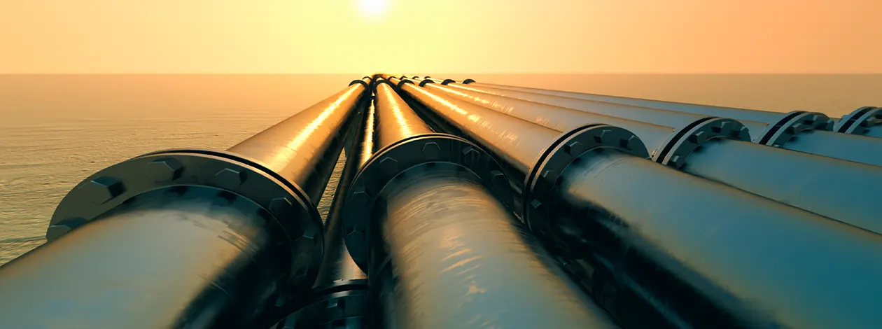 Gas Natural Comprimido